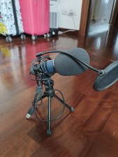 Usb cardioid condenser usato  Porto Sant Elpidio