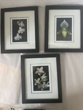 Floral art prints for sale  Punta Gorda