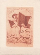 Exlibris bookplate radierung usato  Spedire a Italy