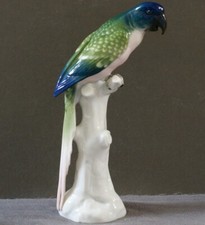 Sitzendorf parrot parakeet for sale  ST. AUSTELL