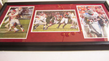 Large framed arkansas for sale  Suwanee