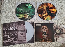 Desecration pic vinyl gebraucht kaufen  Marl