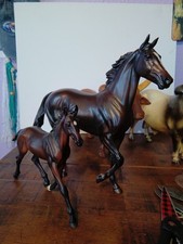 Zenyatta zenyatta first for sale  Donald