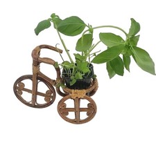 Boho style bike for sale  Edmond