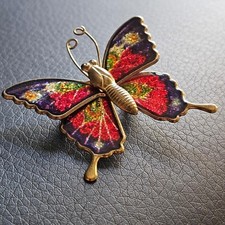 Broche papillon coloré d'occasion  Toulouse-