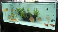 5ft 150cm complete for sale  STRATFORD-UPON-AVON