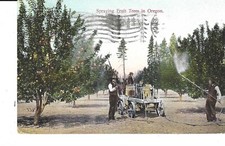 Postcard spraying fruit for sale  Missoula
