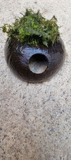 Coconut shell covered for sale  CARLISLE