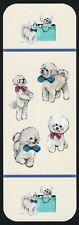 Bichon frise cute for sale  Shipping to Ireland