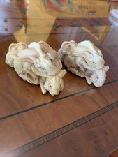 Ralph massey rabbits for sale  Benicia