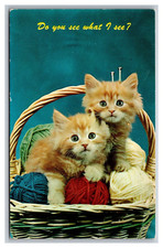 Vintage postcard white for sale  Sobieski