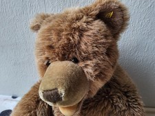 Steiff bär molly gebraucht kaufen  Vechelde