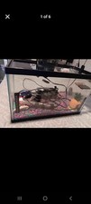Gallon fish tank for sale  Newton