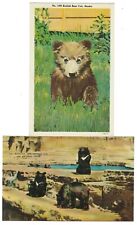 Bear linen postcard for sale  Aurora