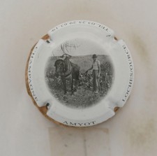 champagne amyot d'occasion champagne amyot d'occasion  Lamotte-Beuvron