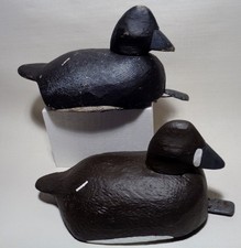 Rigmate bluebill pair for sale  Depew
