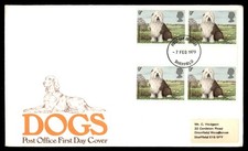 english sheepdogs old for sale english sheepdogs old for sale Appleton