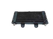 Radiatore olio kawasaki usato  Italia
