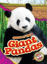 Giant pandas for sale  North Smithfield
