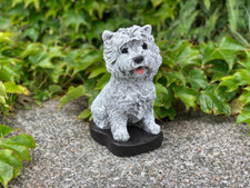 Westie puppy dog for sale  DAGENHAM
