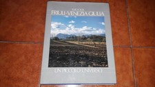 Elio ciol friuli usato  Italia