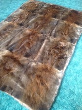 New montana beaver for sale  Superior