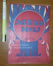Rulli scettico blues usato  Novellara
