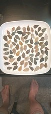 South texas marcos for sale  Bloomfield