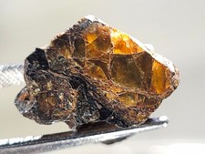 Nwa 16099 pallasite for sale  Eureka