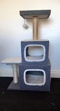 Pets home cat for sale  MIDDLESBROUGH