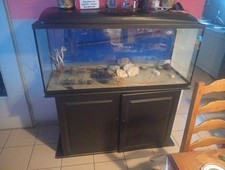 Aquarium bords noir d'occasion  Aubigny-en-Artois