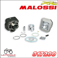 317200 malossi gruppo usato  Palermo