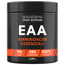 Bandini eaa 480 usato  Rimini