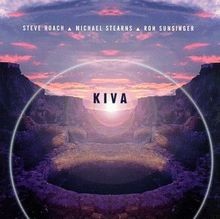 Kiva roach steve gebraucht kaufen  Berlin
