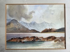Watercolour painting renowned for sale  HAMILTON