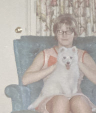 1960s american eskimo for sale  New Hartford