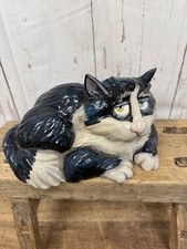 Lovely large cat for sale  LONDON
