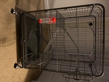Levels small animals for sale  Downingtown