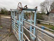 cattle handling for sale  WESTON-SUPER-MARE