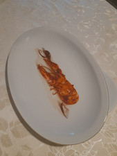 Piatto portata pesce usato  Campobasso