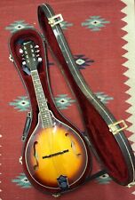 Washburn m1s style for sale  Tucson