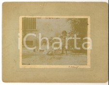 1910 area piemontese usato  Milano