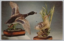 Animal statues male for sale  Newton