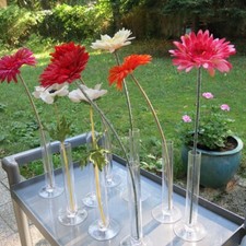 Tischvasen glasvasen cm gebraucht kaufen  München