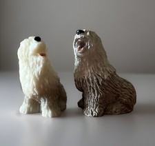 Old english sheepdog for sale  Oak Harbor