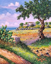 Offerta 349 anziche usato  Augusta
