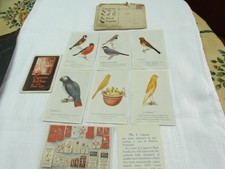 1930s caperns bird for sale  DERBY