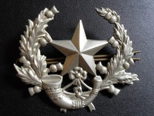 Cap badge cameronians for sale  SALE