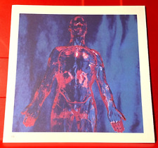Nirvana sliver lambchop for sale  WINDSOR