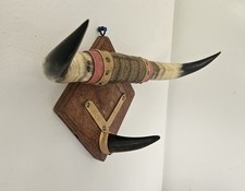 Longhorn mounted horns for sale  Florissant
